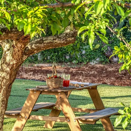 Trulli Cicale E Olive - Le Di Valentina