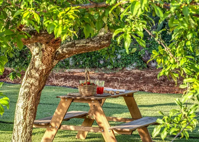 Trulli Cicale E Olive - Le Di Valentina